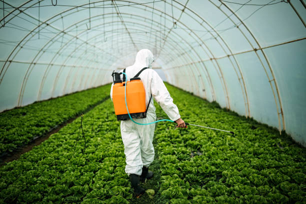 Best Local Pest Control Services  in Carlisle Rockledge, AL