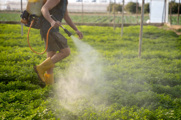 Best Commercial Pest Control Services  in Carlisle Rockledge, AL