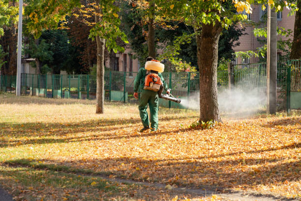 Professional Pest Control in Carlisle Rockledge, AL