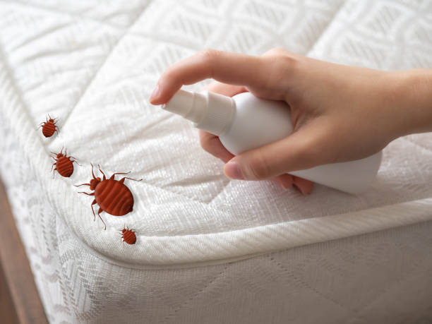 Best Pest Prevention Services  in Carlisle Rockledge, AL