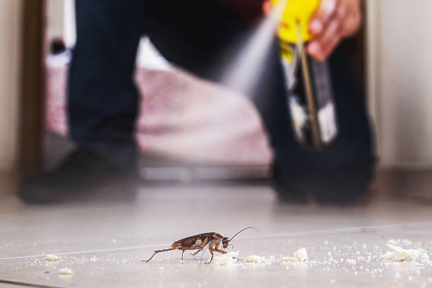 Pest Control Cost in Carlisle Rockledge, AL
