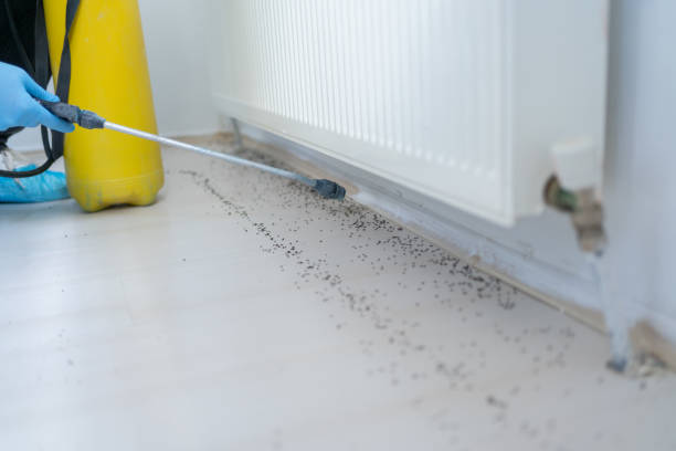 Best Pest Removal Services  in Carlisle Rockledge, AL