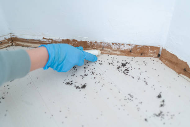 Best Wildlife Control Services  in Carlisle Rockledge, AL