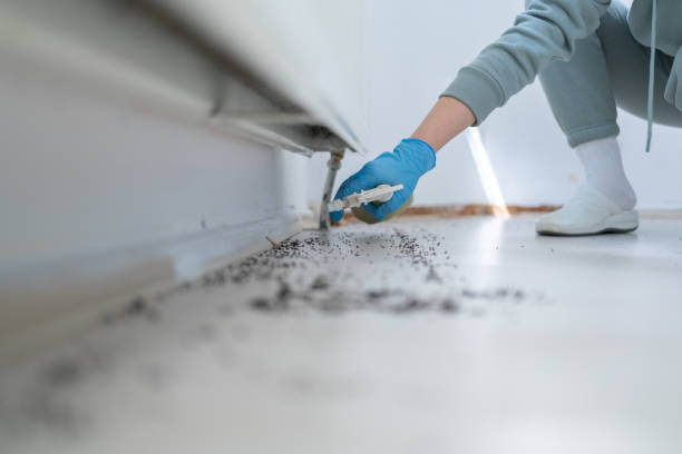  Carlisle Rockledge, AL Pest Control Pros